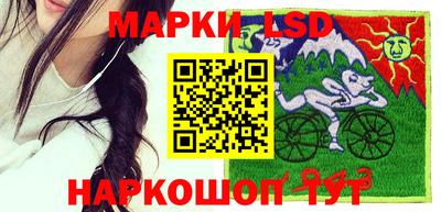 стаф Заводоуковск