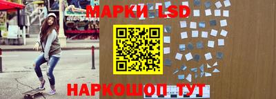 стаф Заводоуковск