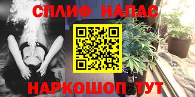 стаф Заводоуковск