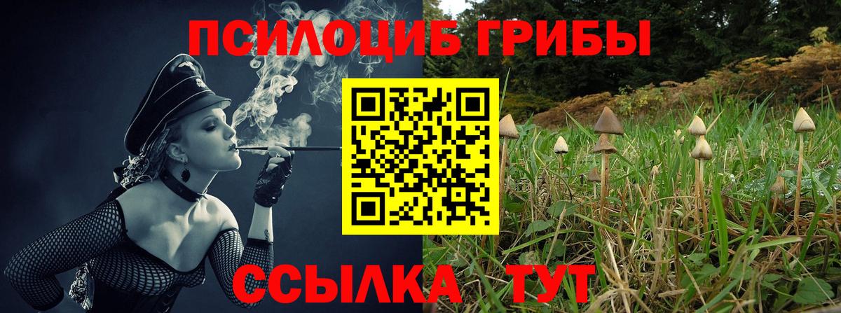 дарнет шоп  Вход с VPN  Ртищево  Галлюциногенные грибы GOLDEN TEACHER 