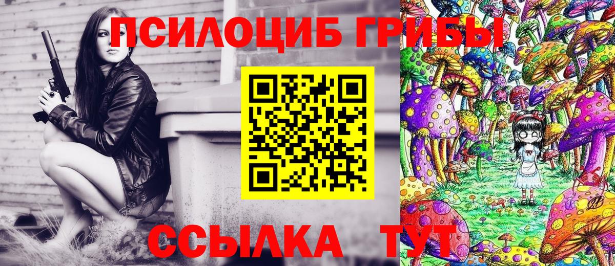 Галлюциногенные грибы Cubensis Ртищево